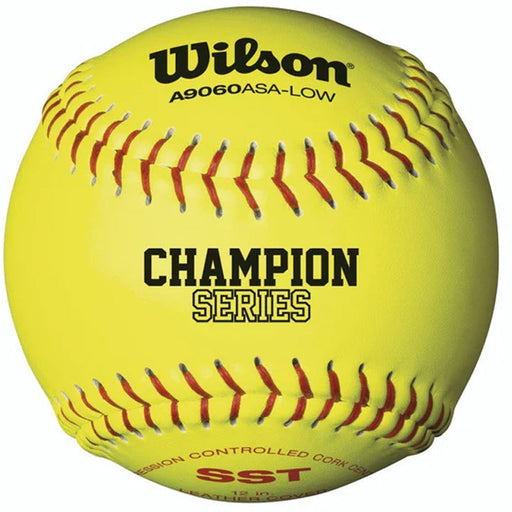 Wilson A9060B USA (ASA) Cork Fastpitch Softball 12 Inch (Dozen): A9060B Balls Wilson Sporting Goods