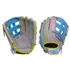 Rawlings H.O.H 12.75" Glove-of-the-Month Baseball Glove: PRO3039-6GCB Equipment Rawlings 