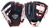 Easton Professional Youth Series 10 inch I-Web Baseball Glove: PY10USA