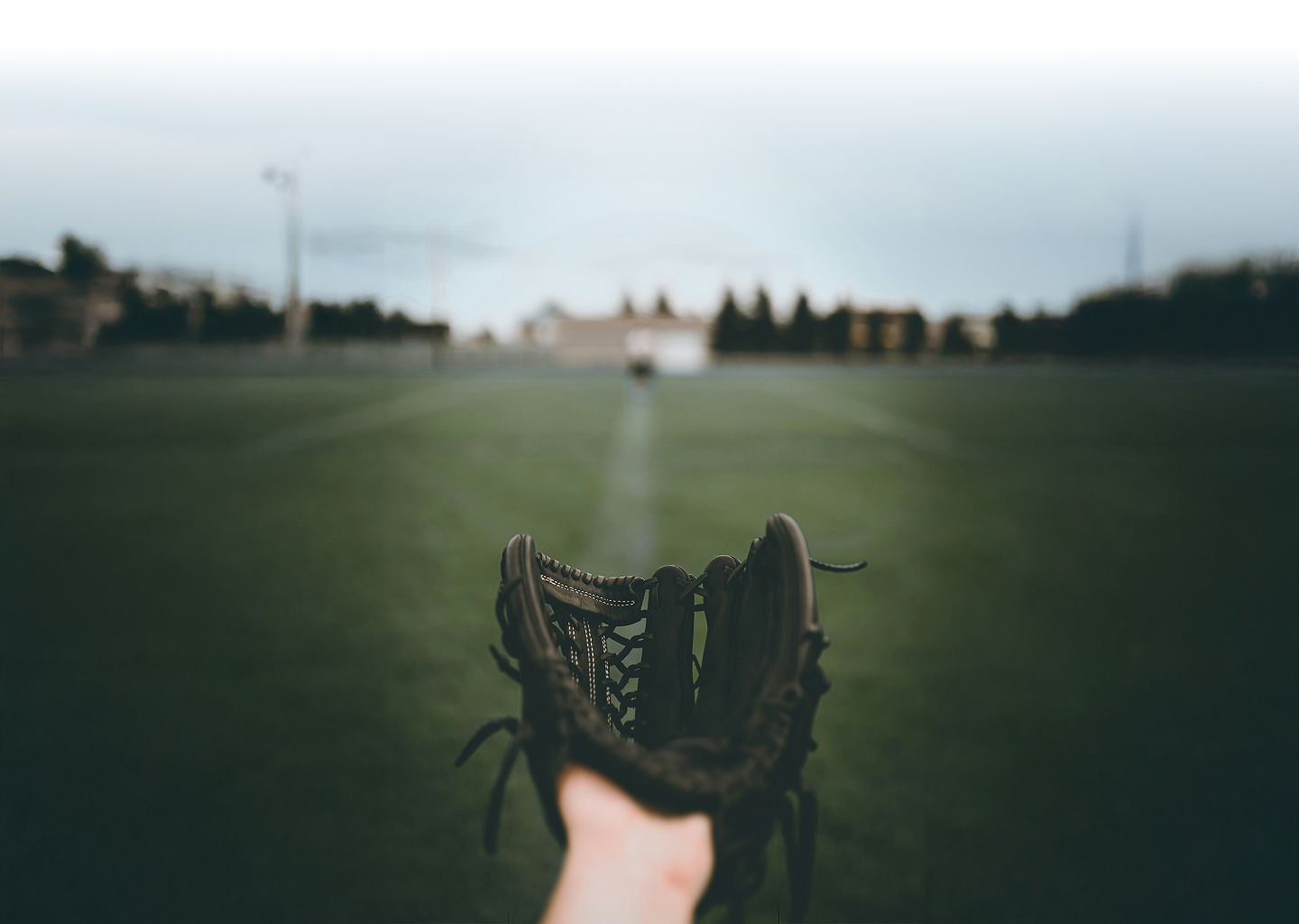 Golf Glove