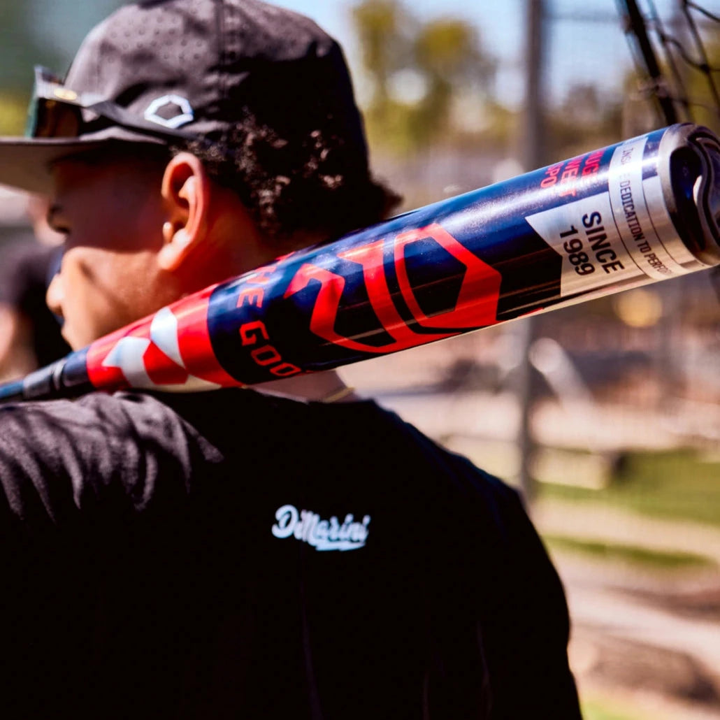 2027 DeMarini The Goods™ (-5) SL 2 ¾” USSSA Baseball Bat: WBD2713010