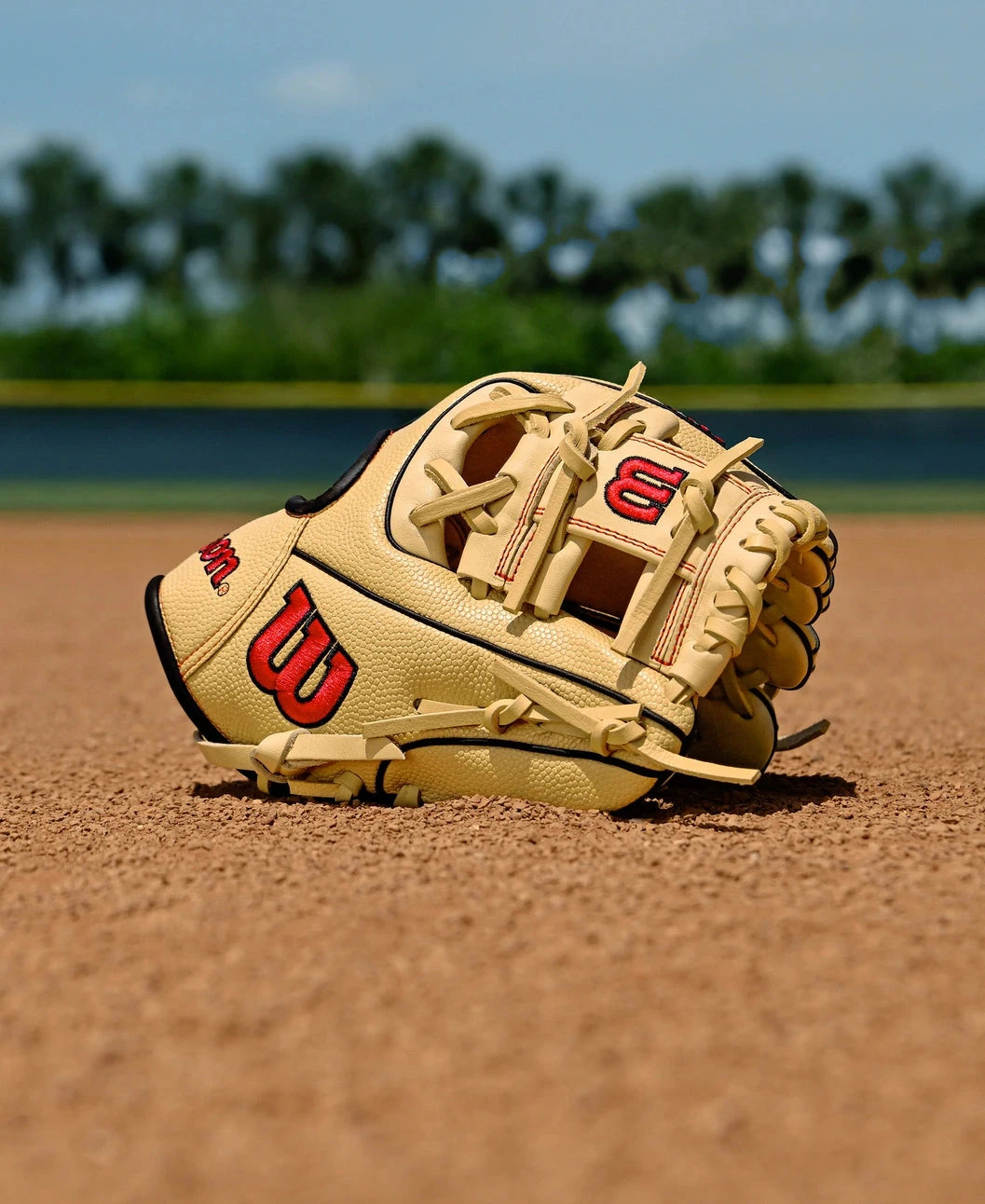 2026 Wilson A1000™ PF11 11” Infield Baseball Glove: WBW10395511 Equipment Wilson Sporting Goods 