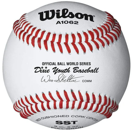Wilson A1062BSST SST Dixie Youth Baseball (Dozen) Balls Wilson Sporting Goods 
