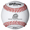 Wilson A1075BSST SST Pony Baseball (Dozen) Balls Wilson Sporting Goods 