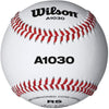 Wilson A1030B High School Practice Baseball Raised Seams (Dozen)