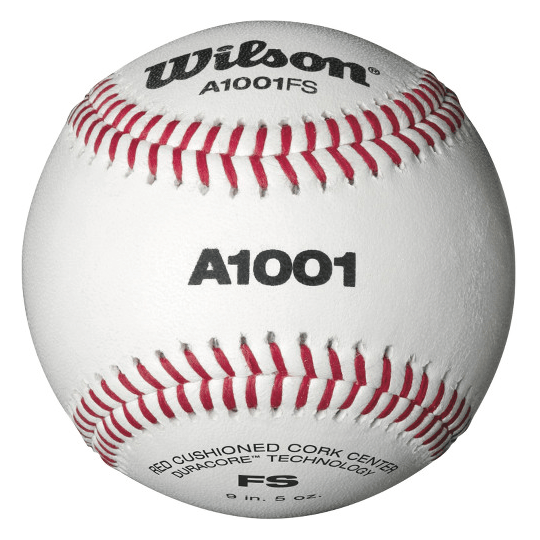  WILSON Champion Series Baseballs, A1020, SST (One Dozen) ,  White : Sports & Outdoors