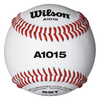 Wilson A1015 NFHS Baseball (Dozen): WTA1015BSST