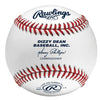 Rawlings DYZ1 Dizzy Dean Baseball (Dozen) Balls Rawlings 