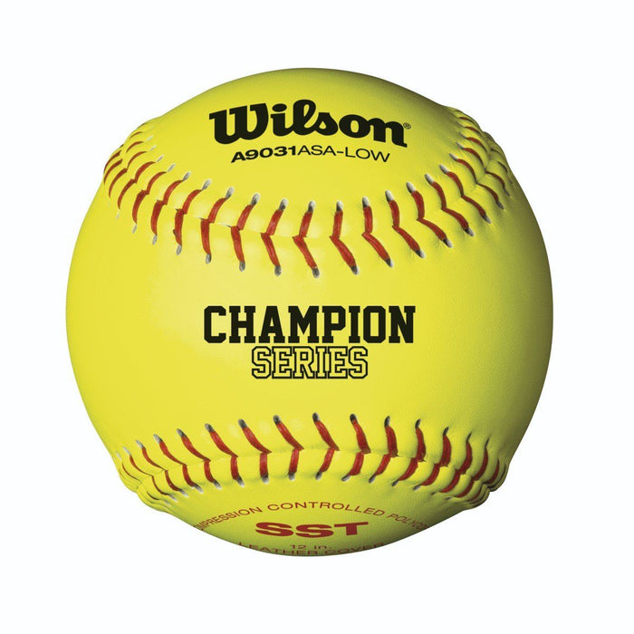Wilson 11" USA (ASA) Fastpitch Softball (Dozen): A9231B Balls Wilson Sporting Goods 